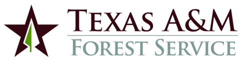 Texas A&M Forest Service